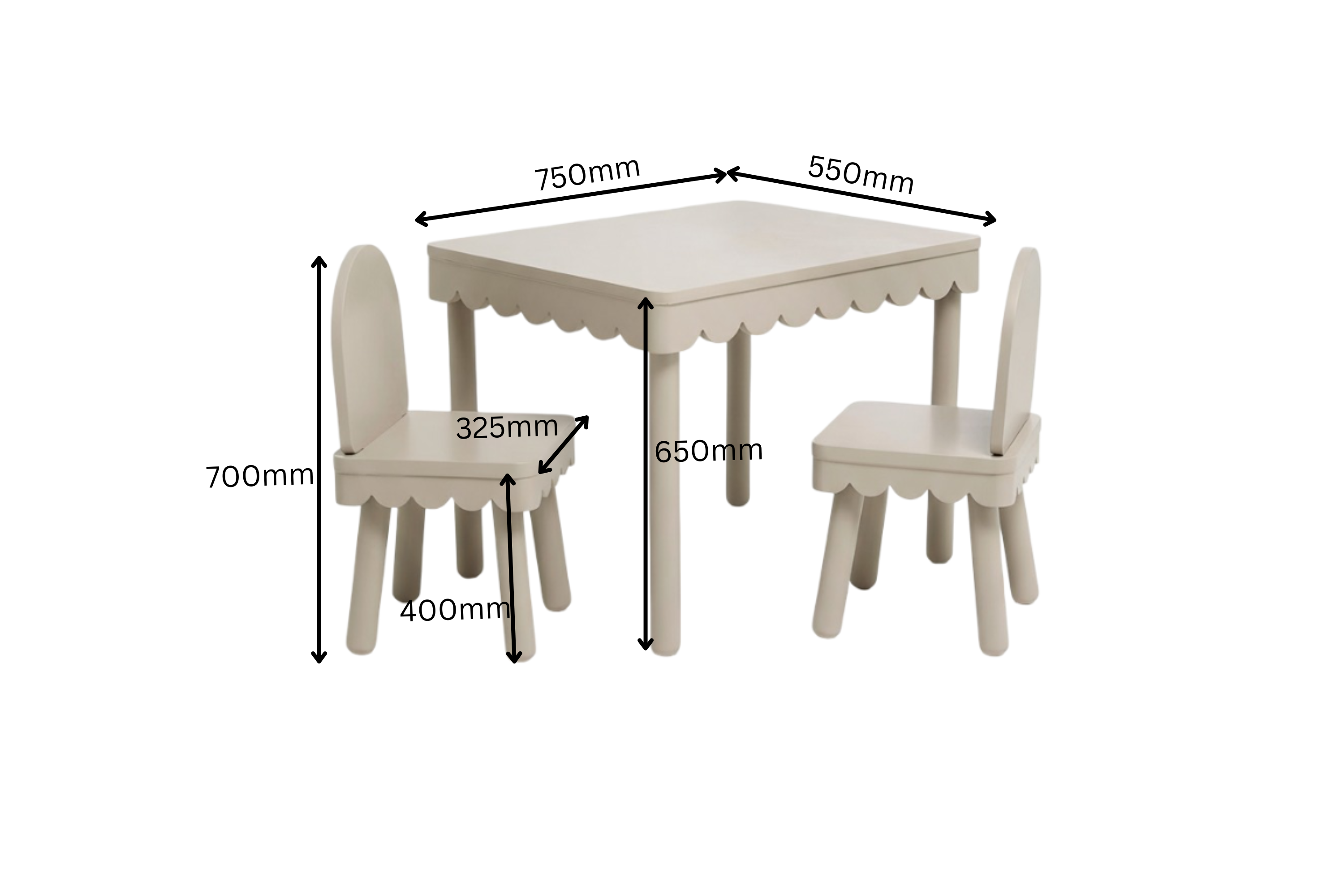 Scallop Study Set