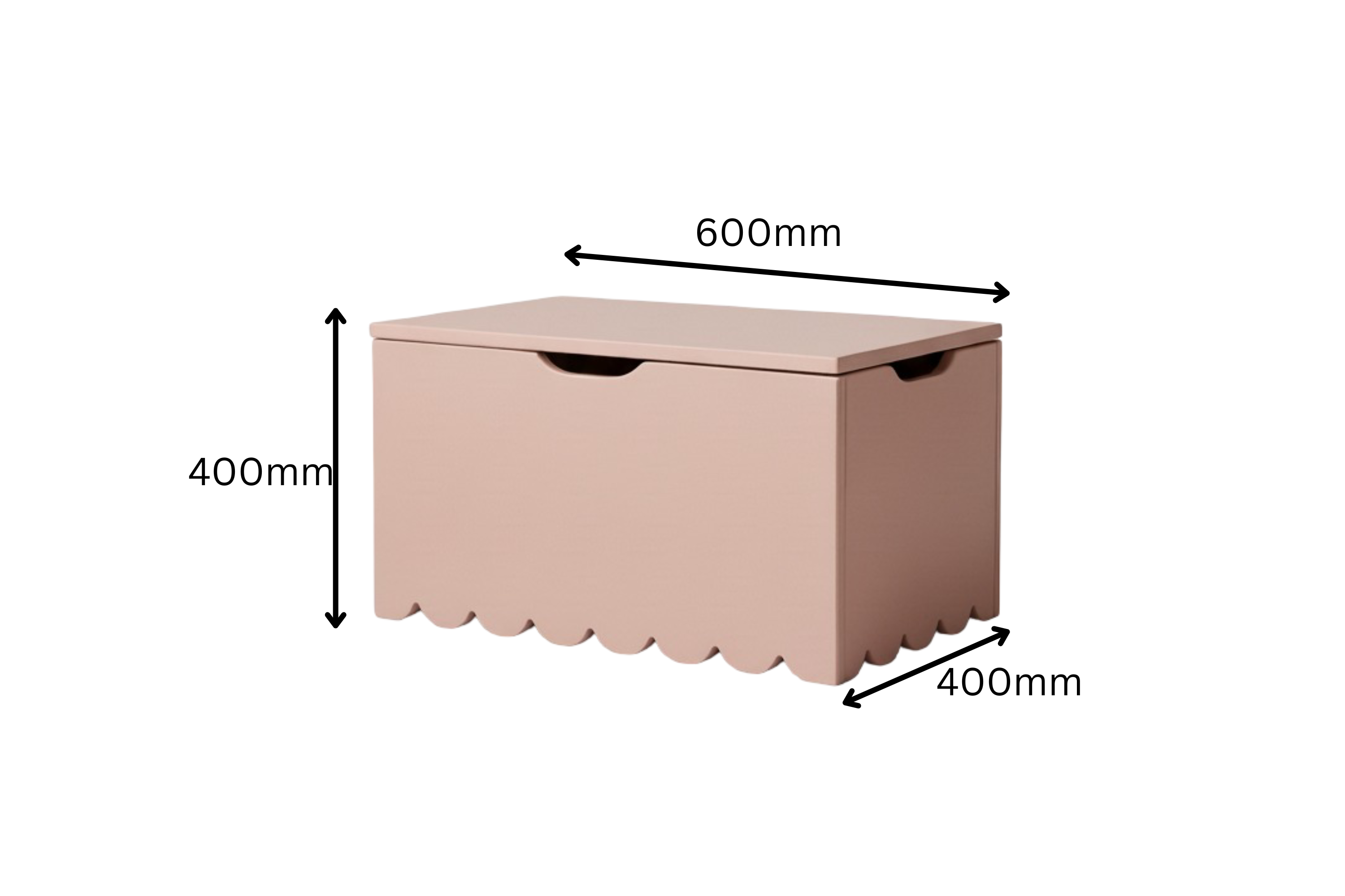 Scallop Toybox