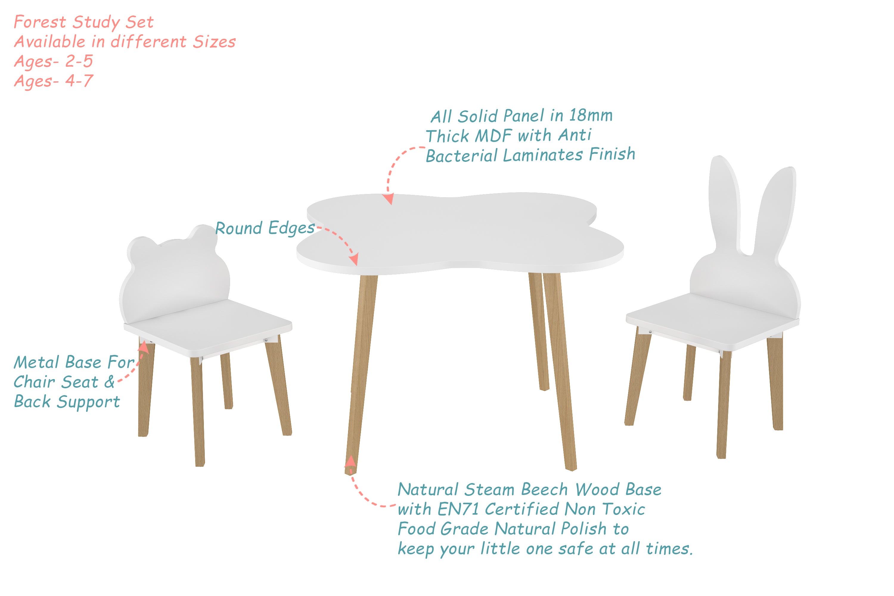 Forest Study Set