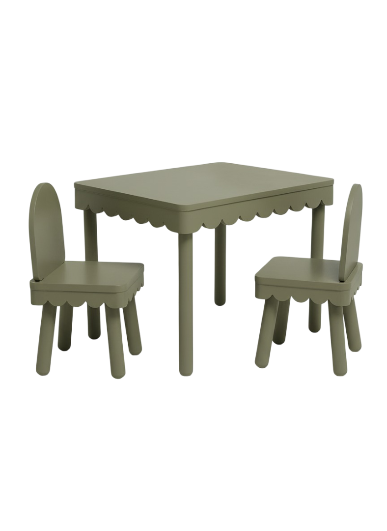 Scallop Study Set