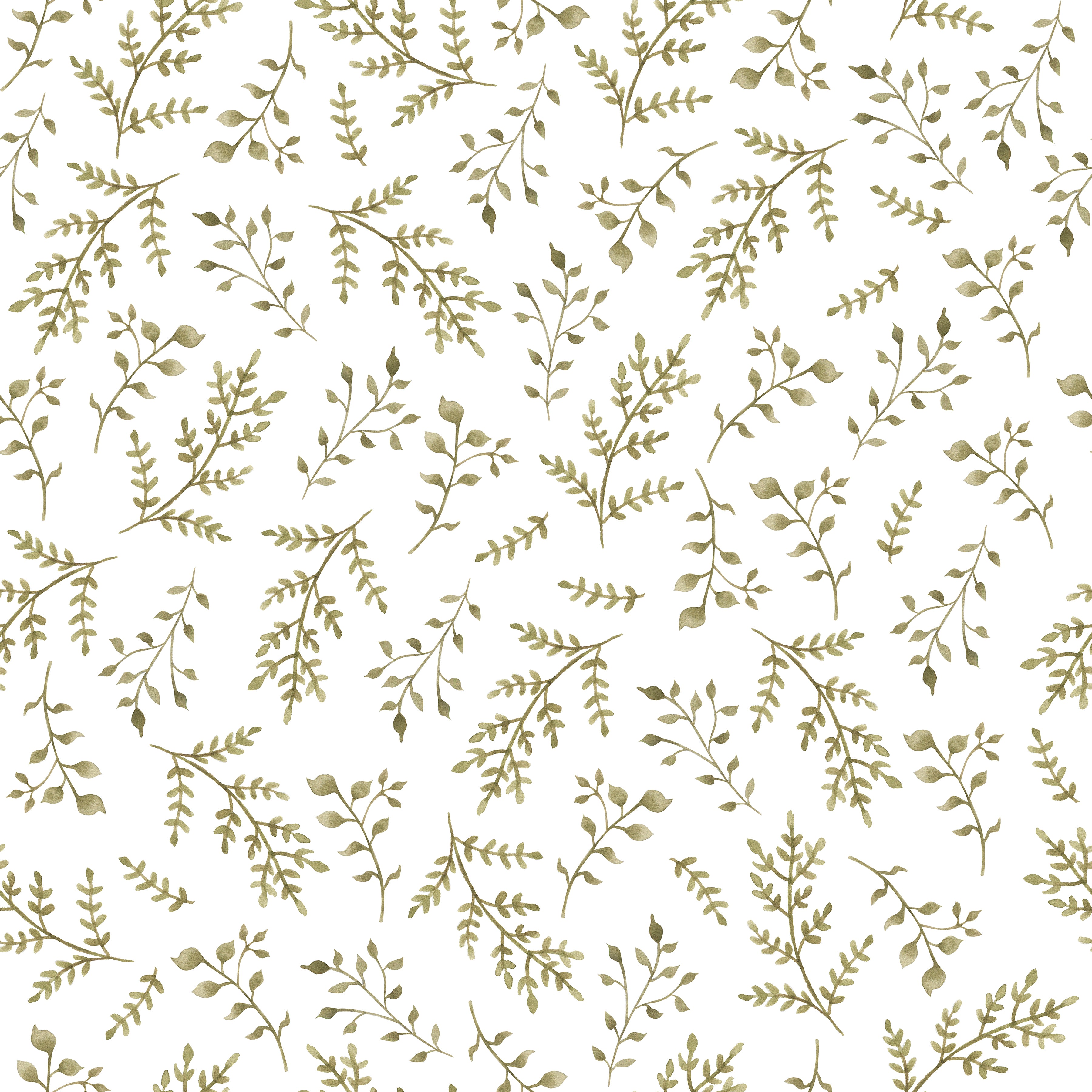 Ivy & Moss on White