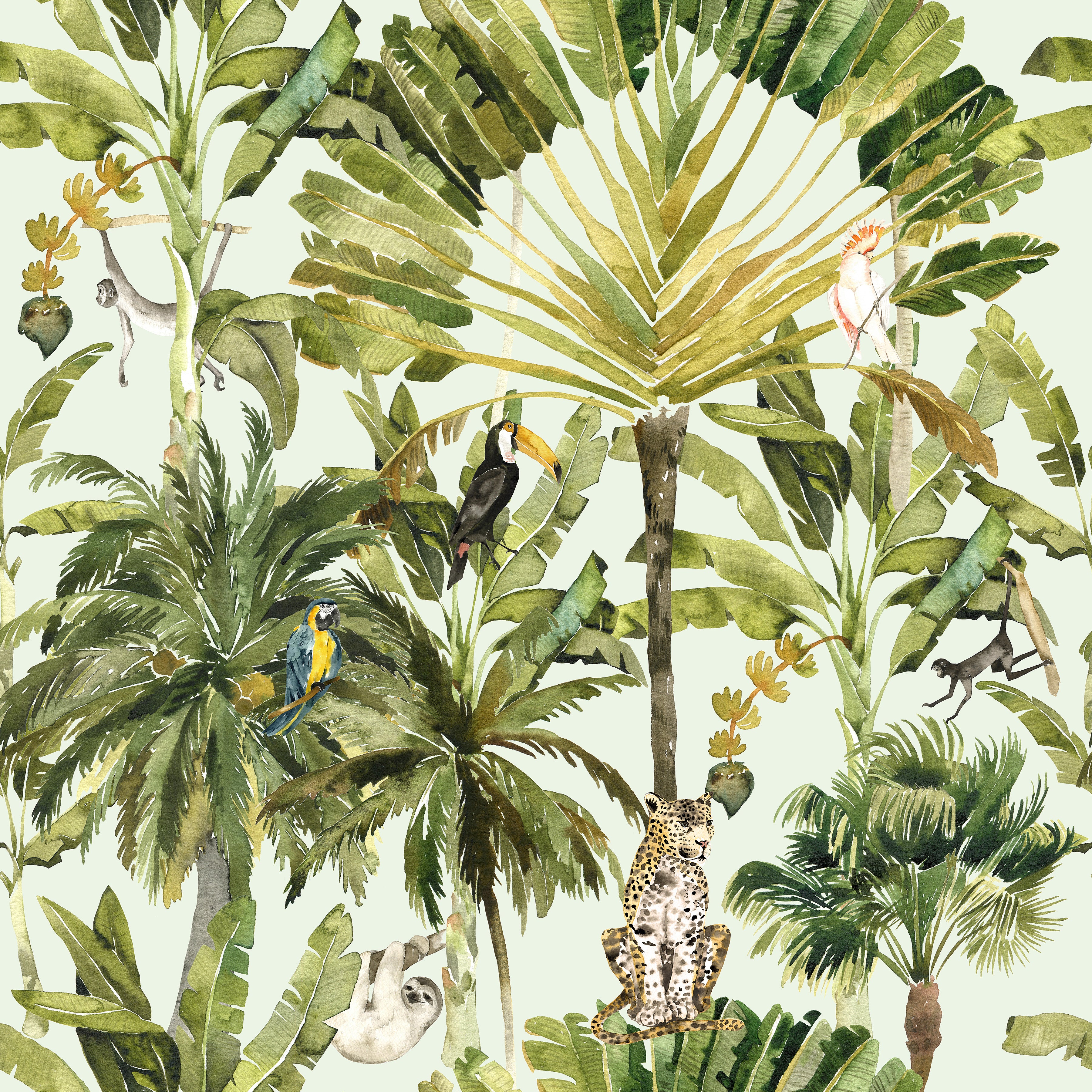 Amazon Rainforest