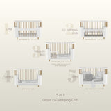 5 in 1 Oasis Co- Sleeping Crib