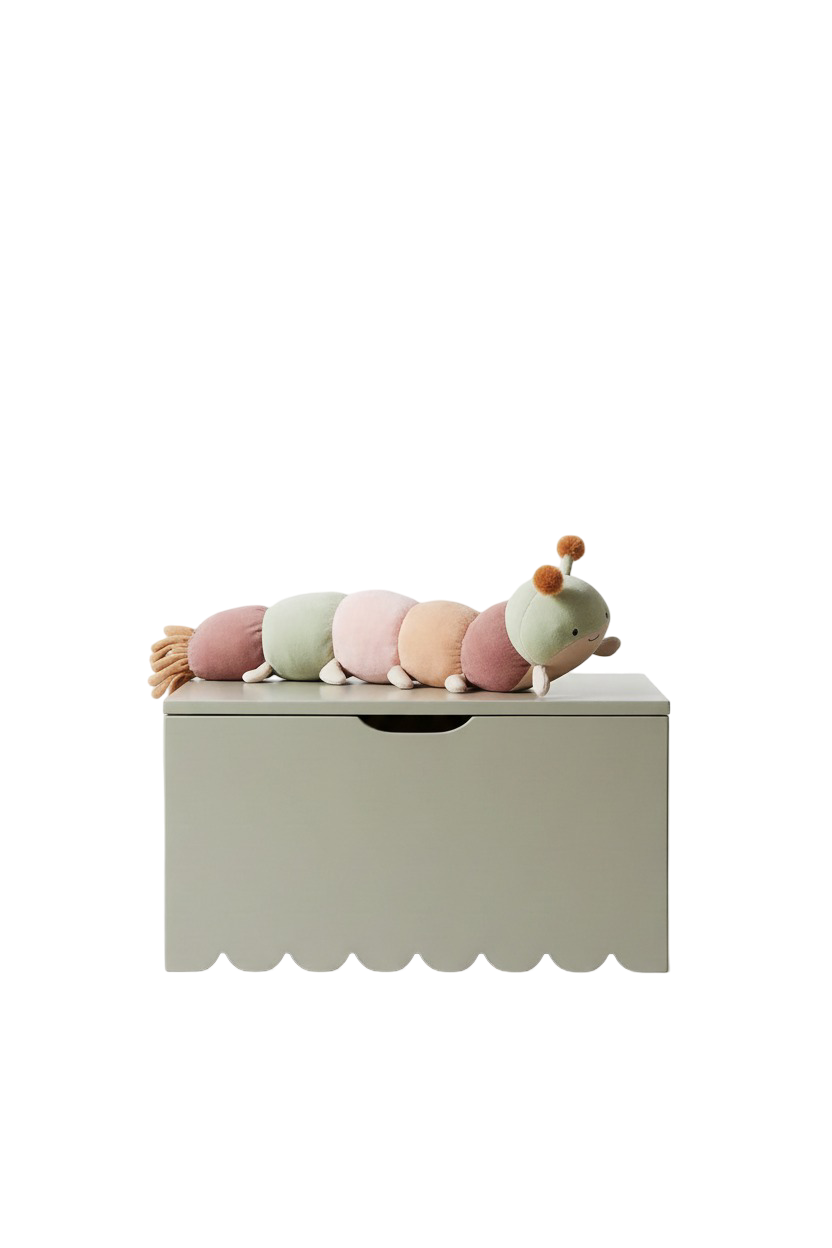 Scallop Toybox