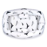 Cloud Nest_1