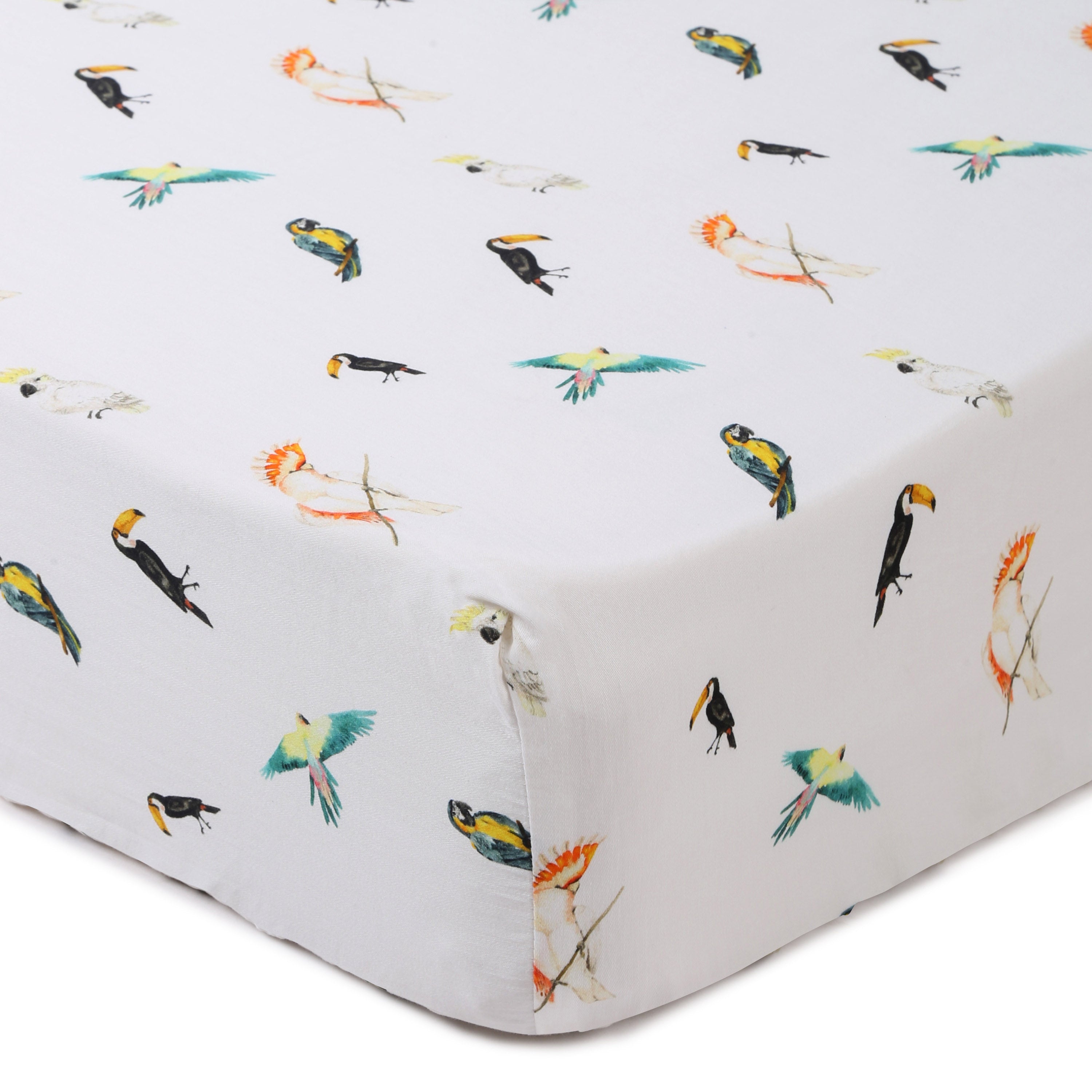 Bird Life- Fitted Cot Sheets in Organic Cotton