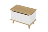 The Depot Classic ToyBox